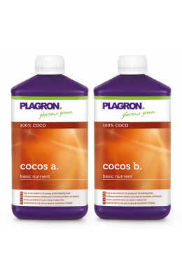 PLAGRON Cocos A+B 1L